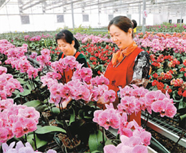 �_���m�� �½��`��