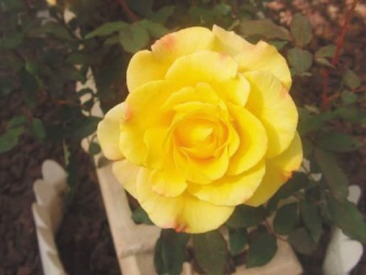 ʿ�ֹ�ۡ 4ǧ��õ�市�G