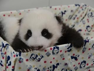 ����؈�����A���Ҹ����L��3����С���(�D)