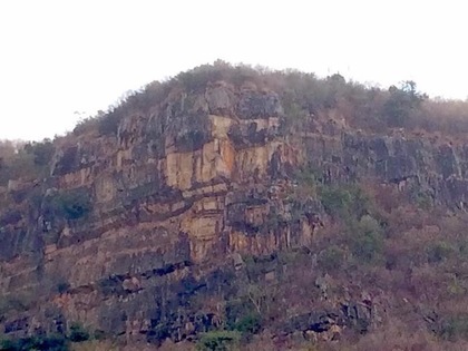 �����������x��ɽ������Ę����������Ҋ(ji��n)����(l��i)���_(t��i)ý