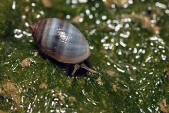 �_(t��i)���l(f��)�F(xi��n)�¼o(j��)���N��Ͱ�ڶ��ݚ������Ͱ���D��