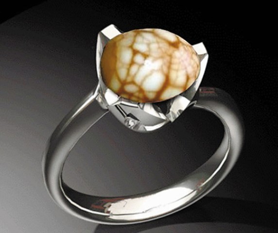 �W(w��ng)�ѐ�����~���Ÿ��D�����W(w��ng)�j�D��