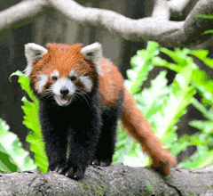 ����С��؈�g�g�_������