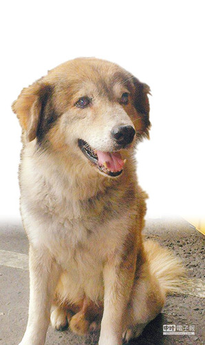 ���յ�����굫���\�ػ����ˑѱ��ġ��q�q�������Еr��ӈ󡷈D