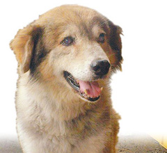 ��Ȯ���������� �����s������ǰ�����Ȼ�