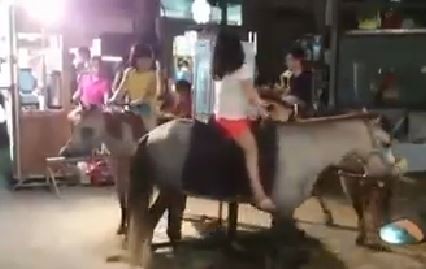 �_�����Aҹ���@Ҋ�����w���Dľ�R���W������̫���������_ý�D��