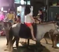 �_�����Aҹ���@Ҋ�����w���Dľ�R���W������̫���̡����_ý�D��