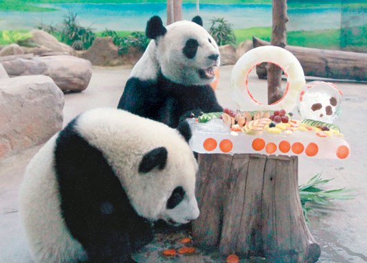 ٛ�_����؈�F(tu��n)�F(tu��n)���A�A�^10�q���մ�е��⣨�D��