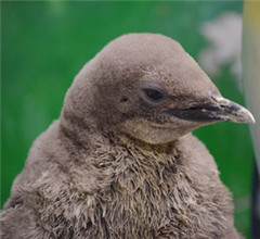 �_(t��i)����(d��ng)��@���Z��������֡�����