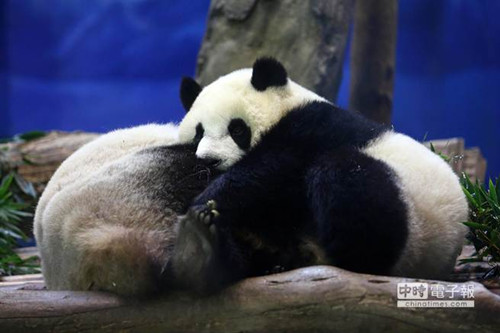 �_��������`�` ����؈���A�С�������ȡů