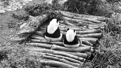 ٛ�_����؈�����������A�С��L���ˌW����������