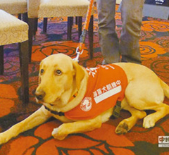 ��äȮ�y�����B(y��ng)��ͥ �����ҡ����֋���