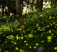 �_�����@���조Ξ���x��Ϣ�ء� �[�Ѕ^�cΞ����