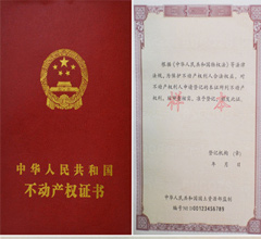 ȫ���yһ���Ӯa��ӛ���C����