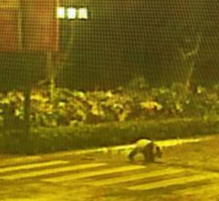 �Ĵ�ӳ����^�l�F����؈ ���ڌ�����ۙӰ