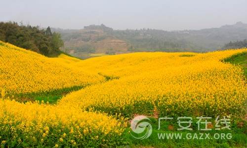 �Ͳ˻��_����ؽ��S ȥ�Ĵ��V���w���`���l��֮�ã�