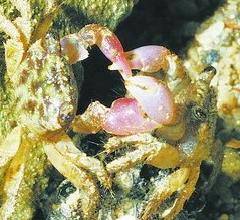 �ɷN���з�F(xi��n)ۙ�_��