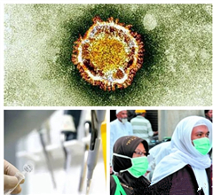 ��������MERS���Б�(y��ng)���A(y��)�� ��(zhu��n)��:�ɷ��ɿز��ؿֻ�