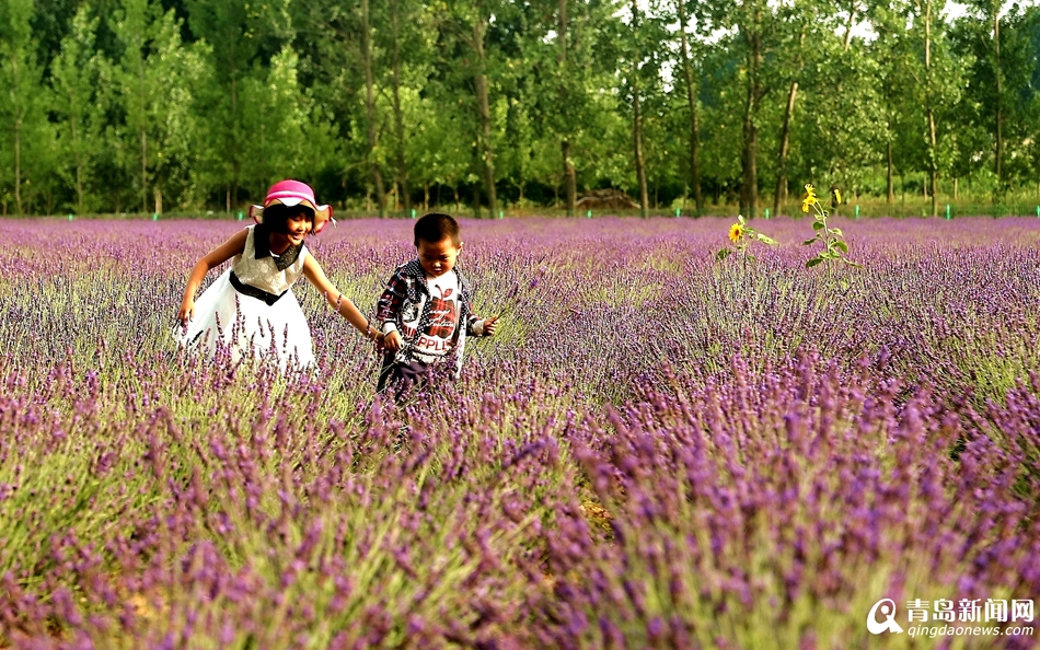 ���u�ٮ�޹���M(j��n)��ʢ����