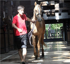 ���{�ɰ�ӛ�ߡ���һ��һ·���½��С����^��Ѫ���Rչʾ����