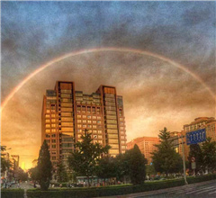 �M�D���������F�ʺ���ϼ �����R������