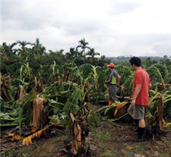 �_�L(f��ng)���K���_���M��ȫ�_ �r(n��ng)�I(y��)�pʧ��6�|��ɏ��K��