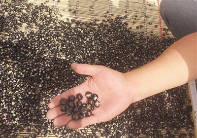 �ຣҰ���������r�w�q 1�ﱻ�������fԪ