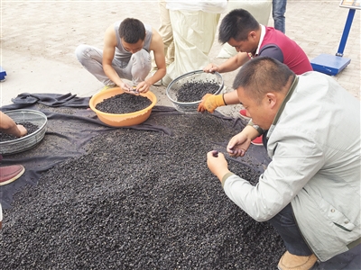 �ຣҰ���������r�w�q 1�ﱻ�������fԪ