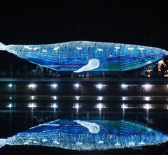 2015�Ї�(gu��)��Ϫ���ۼҟ���(hu��)���������_(k��i)Ļ