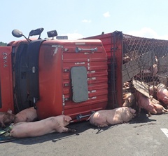 �\�i܇�ȷ� ���ࡰ�����֡����[����