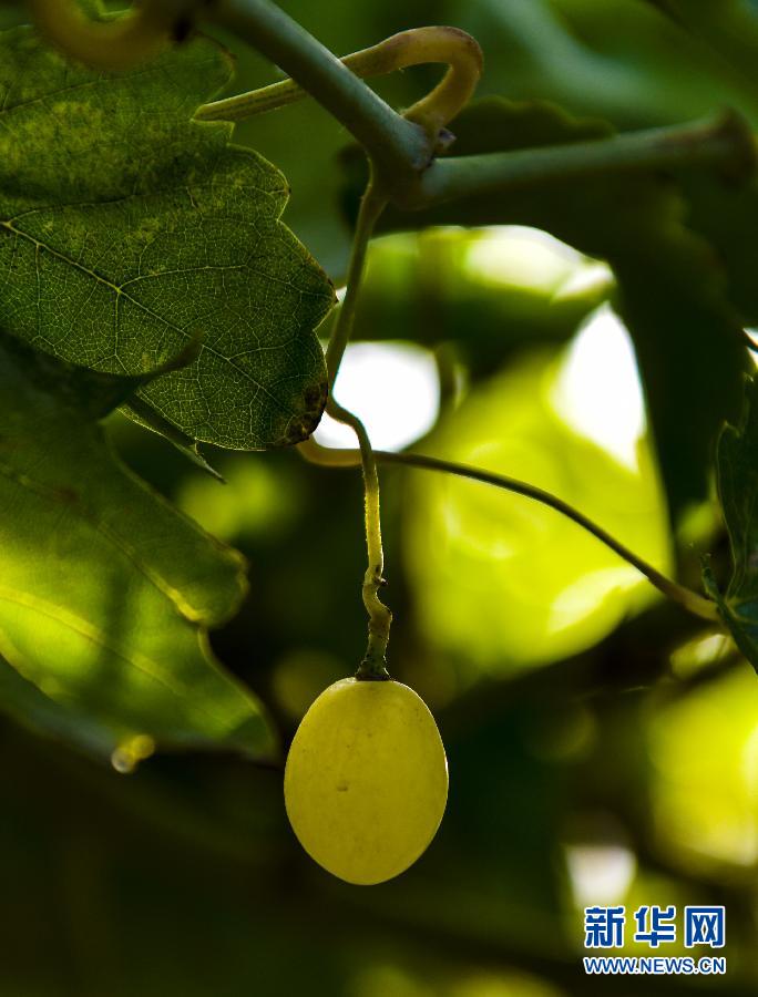 ���½�60�ꡤ���е��½����D�Ļ��ӣ���3�����������������ˣ����۹����ɴ��_ʼ