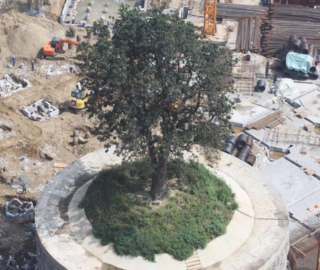 ��������f�Ǹ��� ��400�f���o323�q�Ř�(�D)