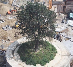 �������(y��ng)�f�Ǹ��� ��400�f(w��n)���o(h��)323�q�Ř�(sh��)(�D)