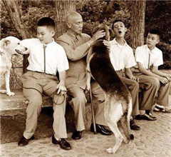 �Y��ʯ����Ƭ�����B(y��ng)�����������