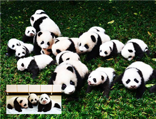 ������؈������������ ���ȇ}