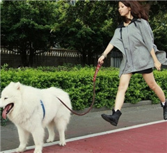 �P�c90�����⡱����С��һ�ꮔ23�ΰ���