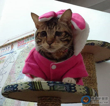 ��������ܟo�������DƬ��Դ���_��ETtoday�|ɭ���ƾWվ��