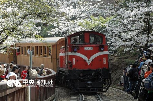 �_������ɽɭ���F·20����״Νq�r����q1��