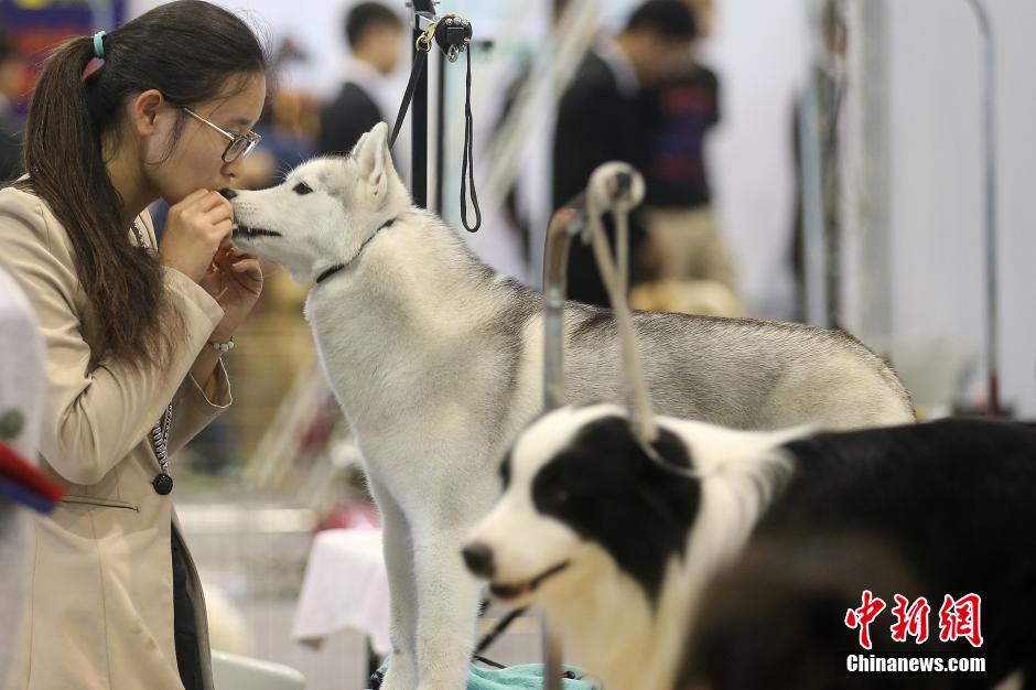 �������ˡ��R���Ͼ� ���_���n��