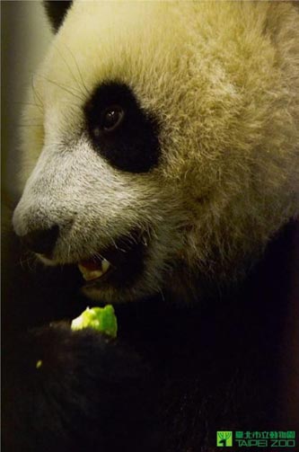 �w�(y��n)�ЙC(j��)�r(n��ng)�����A�д�С������ȡ�