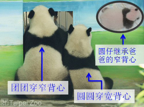 ���F�F�������A�A���ı����ڰ�Ҳ��ͬ��