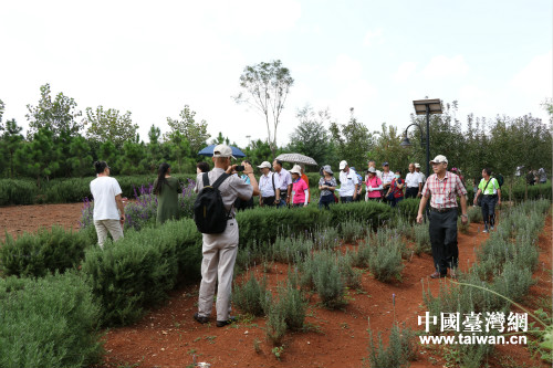 ��ʯ���_(t��i)���r(n��ng)��(chu��ng)�I(y��)�@���^