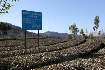 �f��: 8Q0A2463