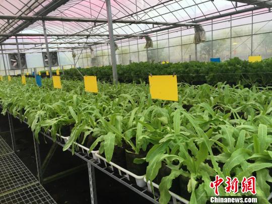 �㽭�������_�����500�|���Y�����~�ȴل��°lչ