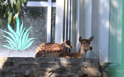 �_��ٛ�ʹ��÷��¹���c�c�����Q����