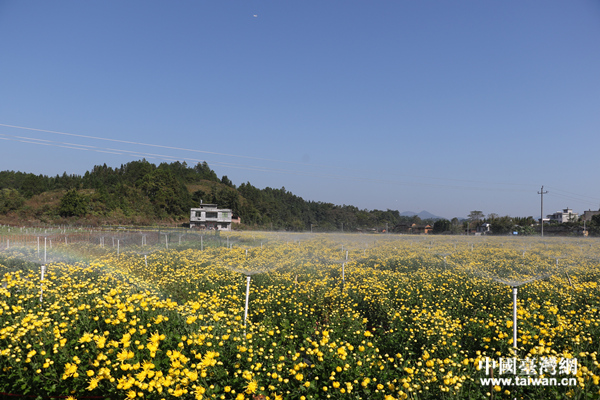 ��ؚ܇�g�����ܶ�ؚ�����ڼ��T�ھ͘I�����Ї��_���W � �z��