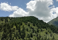 ��Óؚ�������Єӡ����C�r��ĸ�:����"��������"IP ���F����ͬ��ԣ