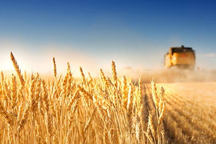 �����̱�����֮Ҫ���^�m��ȫ��pؚ����Ҫؕ�I