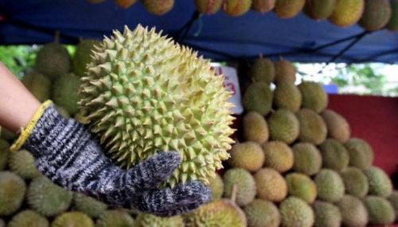 �L��10�๫���ؾ�����ɏ ̩���@�f�t