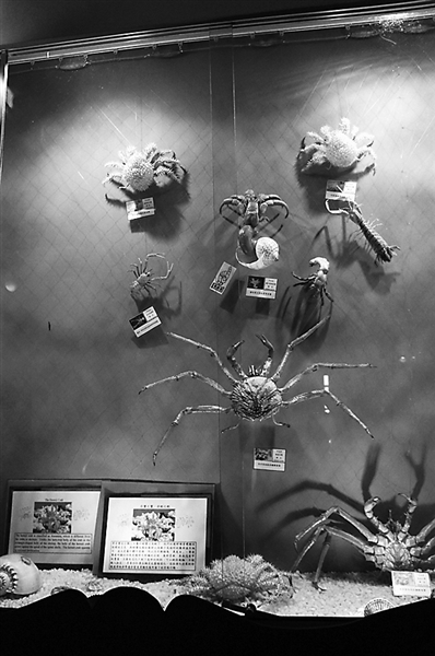 �з�����^һ��